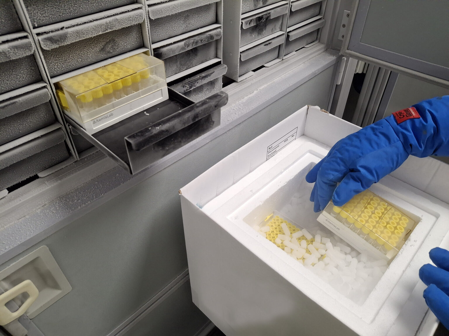 Biobank Rack Biobanking Services | Biological Sample Storage for Laboratories
